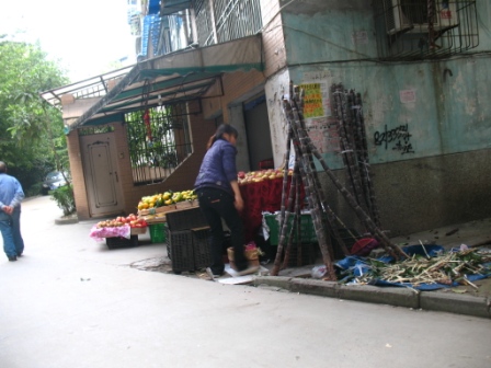 FIL196.JPG