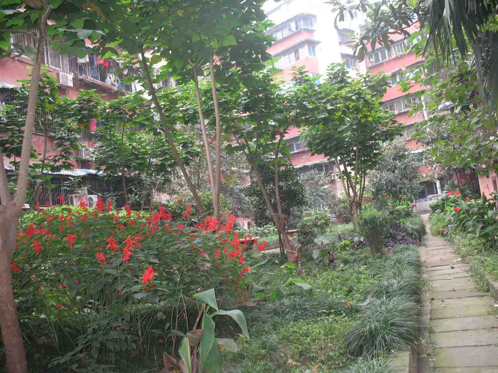 IMG_0495.jpg